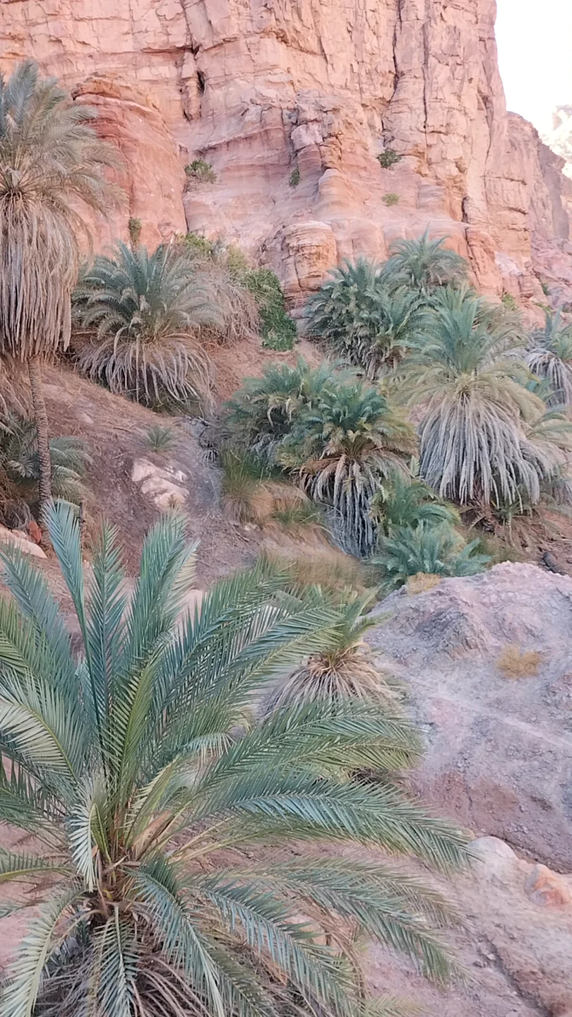 Al-Malha Canyon photo 4
