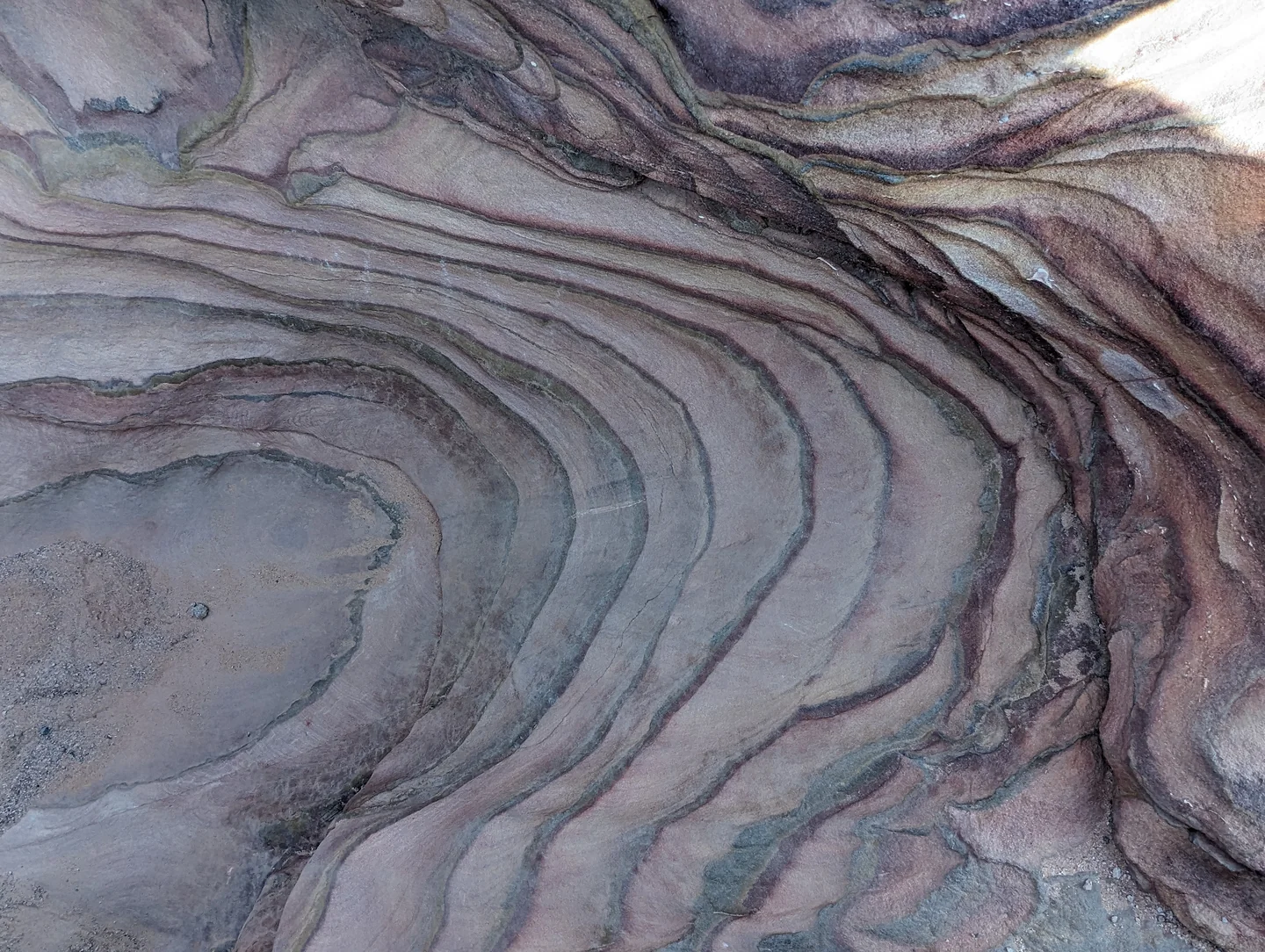Canyon Salama + Ein Khudra + Mushroom Mountain photo 2