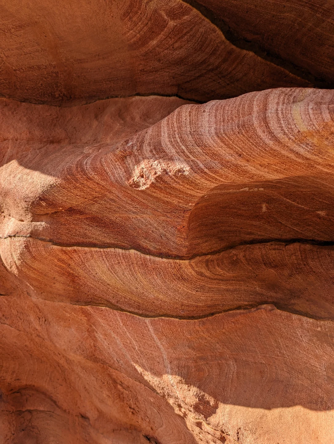 Canyon Salama + Ein Khudra + Mushroom Mountain photo 3