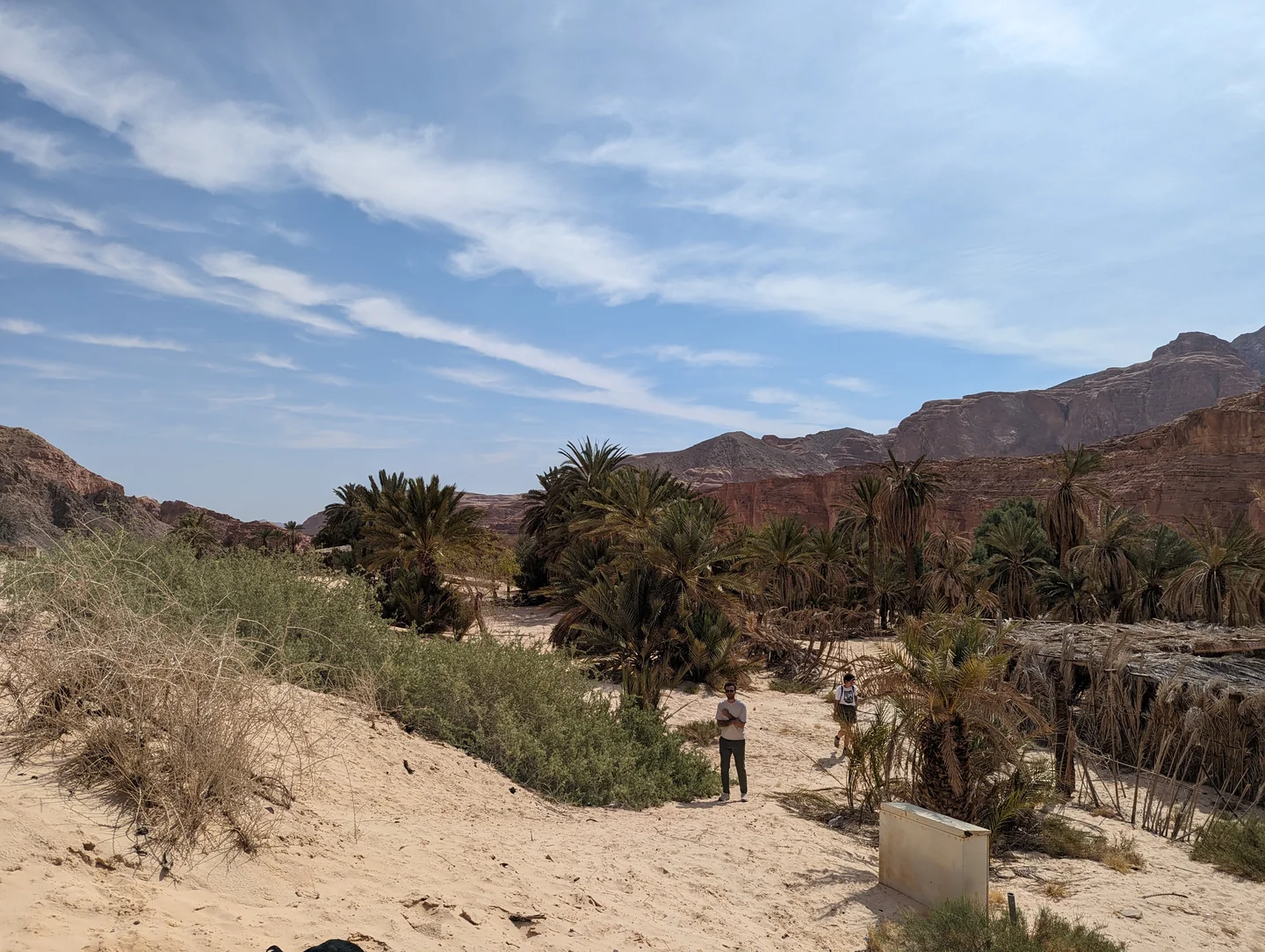 Ein Khudra oasis on the Canyon Salama day